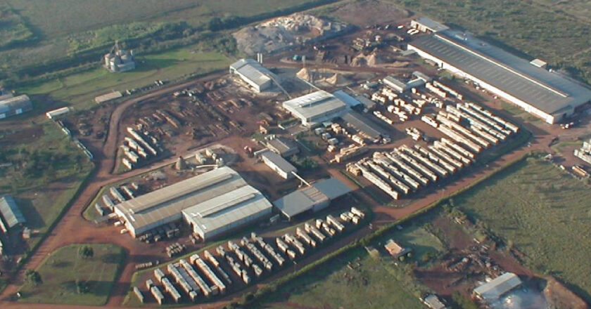 La forestadora Tapebicuá cayó en concurso de acreedores tras más de cuatro meses sin operar