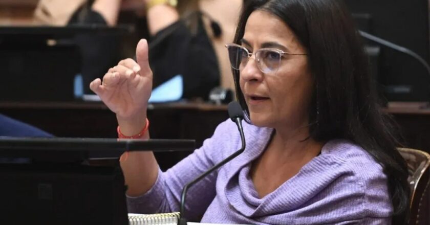 La senadora Carolina Moisés advirtió que la reforma laboral debe tratarse primero en Diputados y perjudica la estrategia del Gobierno
