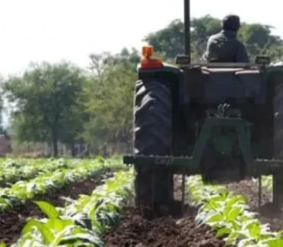 Anses actualizó el SUAF para trabajadores rurales: la asignación por hijo asciende a $136.666