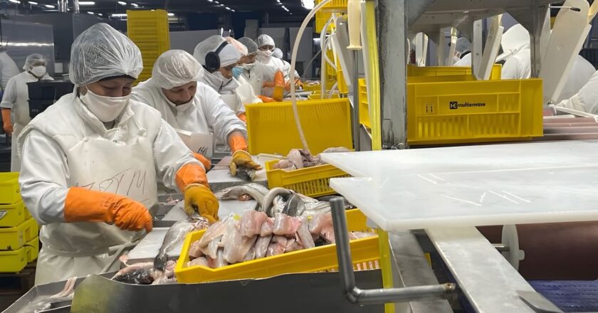 El Sindicato de la Alimentación denuncia contrataciones «precarias e irregulares» en la empresa chubutense de pesca Red Chamber