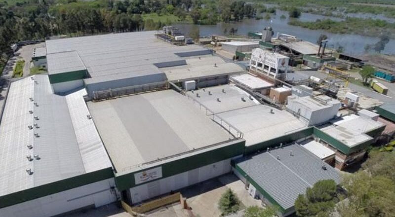 Granja Tres Arroyos, el mayor frigorífico avícola del país, al borde del cierre por la importación de pollo brasileño: 450 puestos de trabajo en riesgo