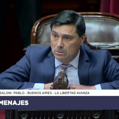 Pablo Ansaloni, el diputado de origen peronista y con pertenencia sindical que votó a favor de la destrucción de los derechos laborales