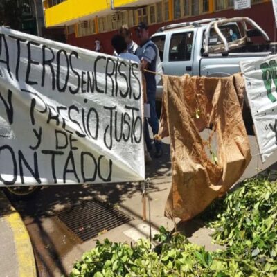 Productores yerbateros advierten una crisis de quiebra generalizada: “Nos soltaron la mano desde el Gobierno nacional, nos estamos muriendo”