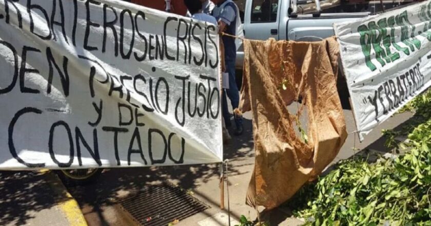 Productores yerbateros advierten una crisis de quiebra generalizada: “Nos soltaron la mano desde el Gobierno nacional, nos estamos muriendo”
