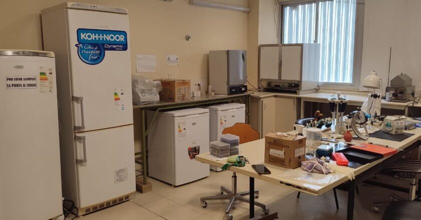 Era Milei: Científicos del CONICET tuvieron que mantener de su bolsillo a seis laboratorios durante un mes por un corte de luz accidental en la zona