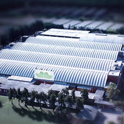 «¿Tienen idea lo que es no tener para comer?», la pregunta de los trabajadores y los empresarios de Algodonera Avellaneda