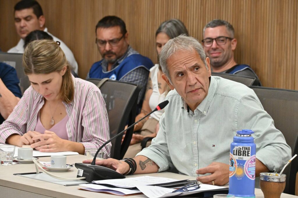 Diputados opositores presentaron un proyecto para ampliar el régimen de licencias parentales: "Un modelo más justo de organización del cuidado"