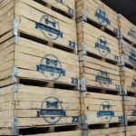 Crónicas del ajuste libertario: trabajadores de Moño Azul aceptaron que les recorten el sueldo para seguir trabajando