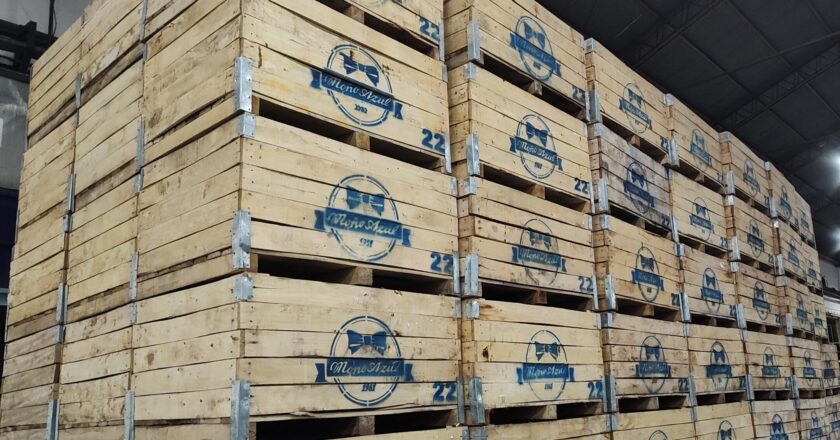 Crónicas del ajuste libertario: trabajadores de Moño Azul aceptaron que les recorten el sueldo para seguir trabajando