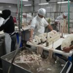 Ocuparon la planta, viven allí y la pusieron a producir: la lucha de los trabajadores del frigorífico Euro para evitar el cierre definitivo