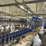 Granja Tres Arroyos no puede pagar los salarios y los operarios paralizan las instalaciones de Wade, la histórica planta ex Cresta Roja