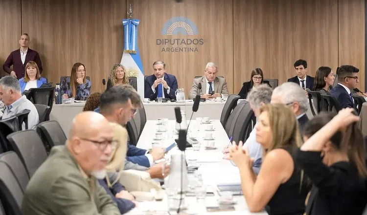 Empresarios textiles denunciaron en Diputados cierres masivos y competencia desigual con plataformas chinas, y reclamaron una ley de emergencia Pyme: «Nos hacen bullying»