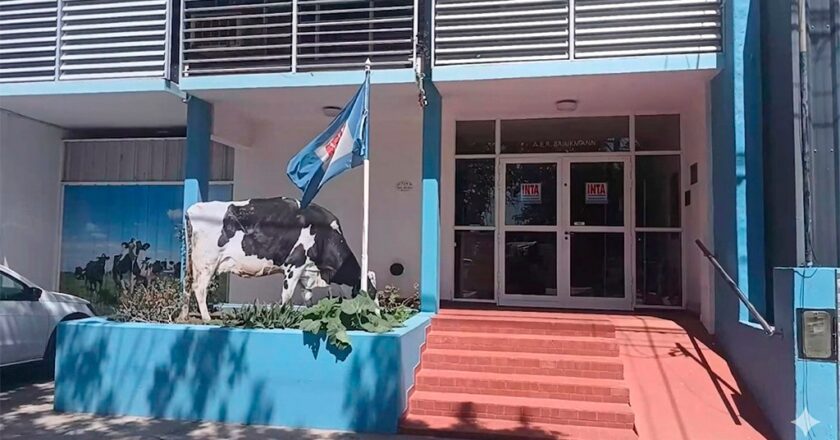 Cierran una sede del INTA clave para la industria láctea porque todos sus técnicos y profesionales adhirieron al plan de retiros voluntarios del Gobierno