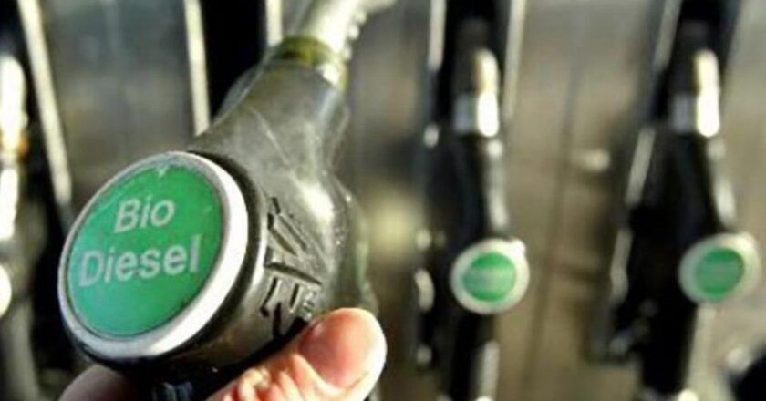 La industria del biodiesel opera al 25% de su capacidad instalada y atraviesa su peor momento en más de una década