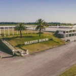Denuncian una veintena de despidos en Bodegas Bianchi y la intención de la empresa de pagar el 50% de las indemnizaciones