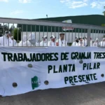 Se define este viernes el futuro de 50 trabajadores de Granja Tres Arroyos: La empresa había ofrecido pagar una parte con pollos