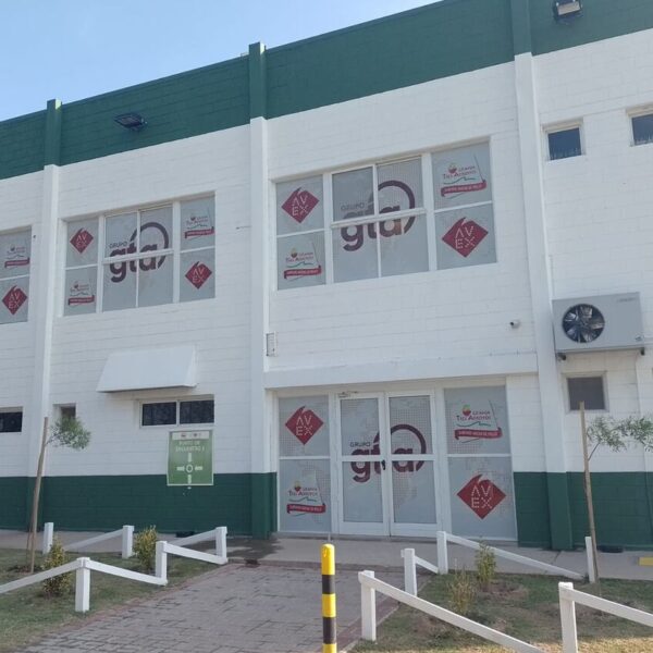 Avex, la planta de Río Cuarto, entró en el concurso de acreedores de Granja Tres Arroyos: 350 trabajadores en incertidumbre