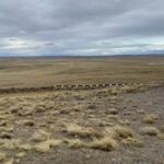 Ley de extranjerización de tierras: La CGT, CTA y UTEP marcharán al Congreso y a Plaza de Mayo