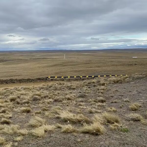Ley de extranjerización de tierras: La CGT, CTA y UTEP marcharán al Congreso y a Plaza de Mayo