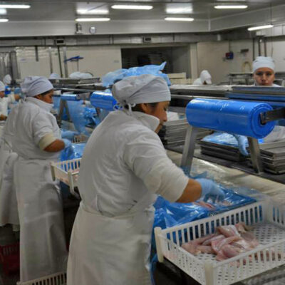 Disputa sindical del rubro alimentos pesqueros en Santa Cruz: el SITFAL lanzó una campaña de afiliación y el STIA respondió con acusaciones de «fraude»