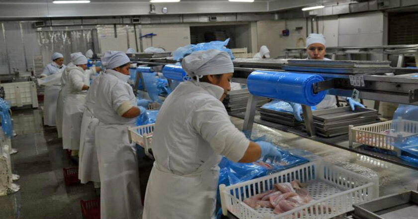 Disputa sindical del rubro alimentos pesqueros en Santa Cruz: el SITFAL lanzó una campaña de afiliación y el STIA respondió con acusaciones de «fraude»