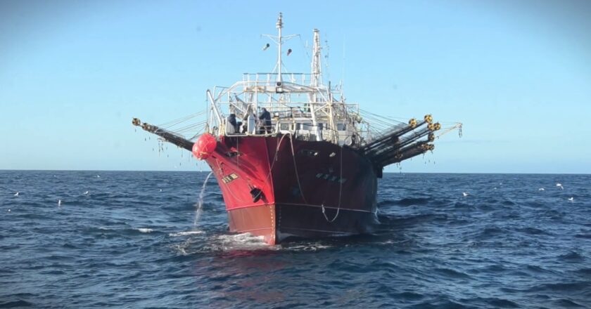 El sindicato de obreros navales rechazó la incorporación de 18 buques para pesca de calamar, pidió cuidar la sustentabilidad del recurso y priorizar la industria nacional