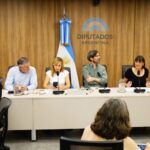 Desde Diputados, buscan prorrogar «por ley» las becas de los investigadores en formación que el Gobierno despidió del CONICET