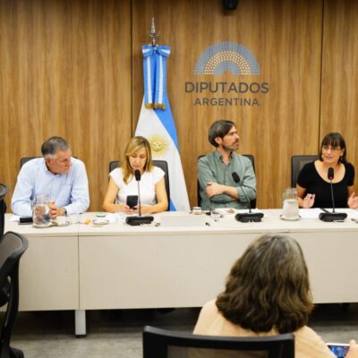 Desde Diputados, buscan prorrogar «por ley» las becas de los investigadores en formación que el Gobierno despidió del CONICET