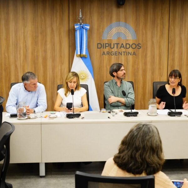 Desde Diputados, buscan prorrogar «por ley» las becas de los investigadores en formación que el Gobierno despidió del CONICET