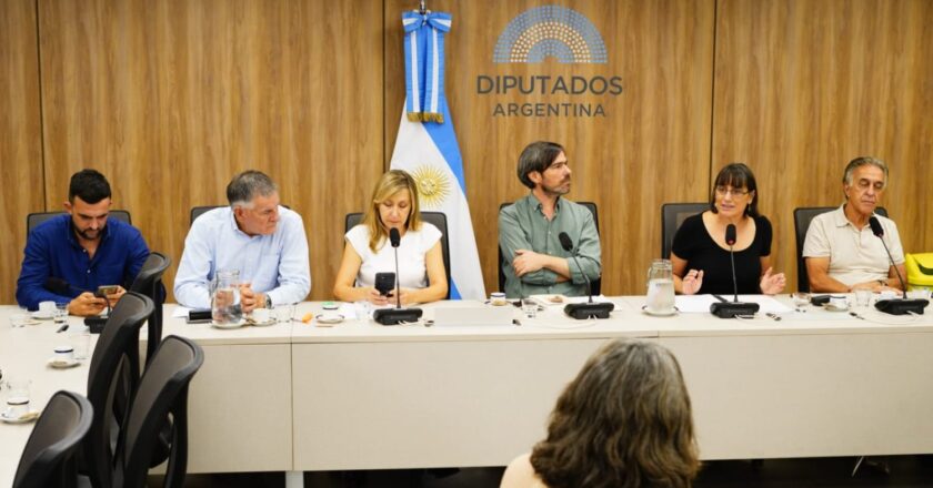 Desde Diputados, buscan prorrogar «por ley» las becas de los investigadores en formación que el Gobierno despidió del CONICET