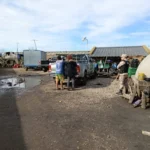 Descontrol en los campos: identifican a 148 personas en un operativo por supuesta explotación laboral