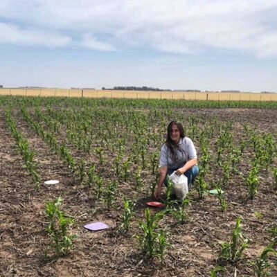 Denuncian que el INTA busca despedir a una investigadora por estudiar los efectos de los agroquímicos en el campo