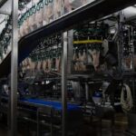 La crisis de Granja Tres Arroyos se espiraliza y ahora propone pagar el sueldo con pollos a los empleados de su planta de Pilar
