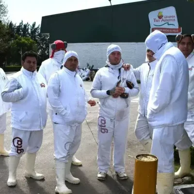 La firma más importante del conglomerado Granja Tres Arroyos SA pidió concurso de acreedores y se acelera la crisis de la avícola