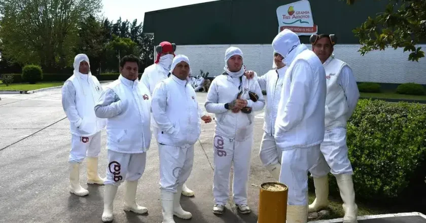 La firma más importante del conglomerado Granja Tres Arroyos SA pidió concurso de acreedores y se acelera la crisis de la avícola
