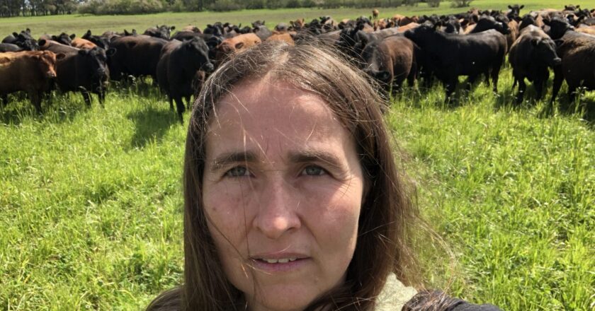 Con una causa armada, el Gobierno echó del INTA a la científica Virginia Aparicio por detectar agroquímicos en personas y ambientes
