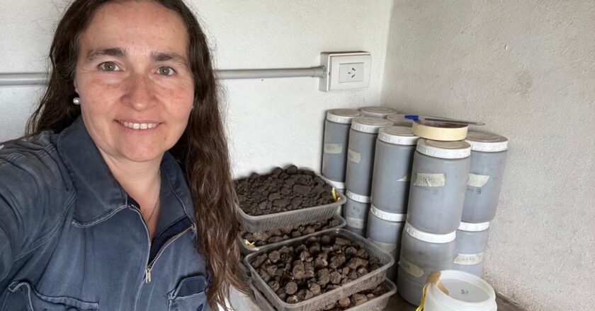 La científica que Milei echó del INTA por investigar sobre agroquímicos apelará la medida en la Justicia