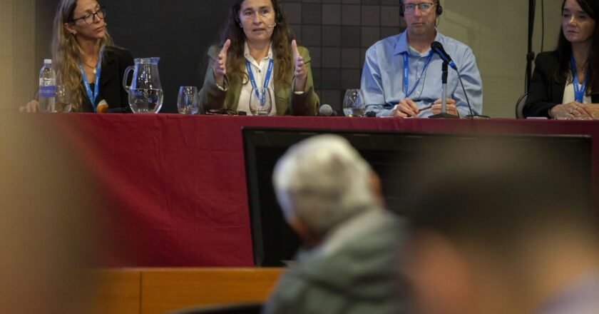 La científica que Milei quiere expulsar del INTA y del CONICET por investigar sobre agroquímicos expuso los resultados de su estudio: Hay plaguicidas hasta en el agua