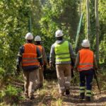 La Justicia rechazó una demanda laboral contra una cooperativa porque el trabajador había ingresado como asociado