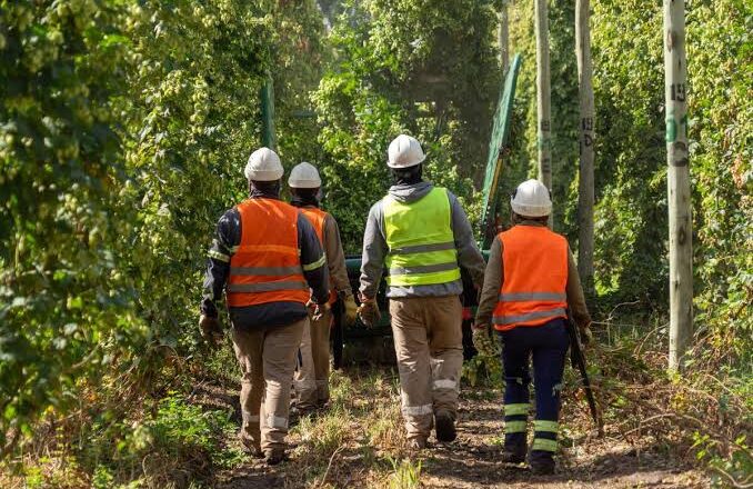 La Justicia rechazó una demanda laboral contra una cooperativa porque el trabajador había ingresado como asociado