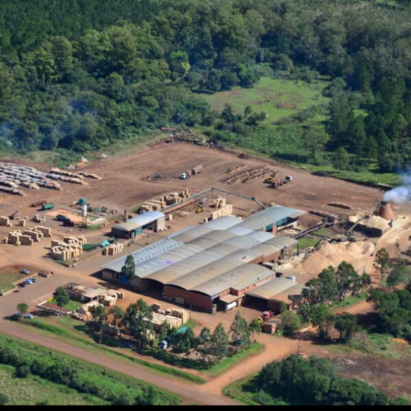 Quiebra del aserradero Linor en Misiones: 130 trabajadores sobreviven con ayuda alimentaria y reclaman salarios e indemnizaciones