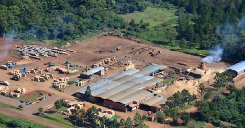 Quiebra del aserradero Linor en Misiones: 130 trabajadores sobreviven con ayuda alimentaria y reclaman salarios e indemnizaciones