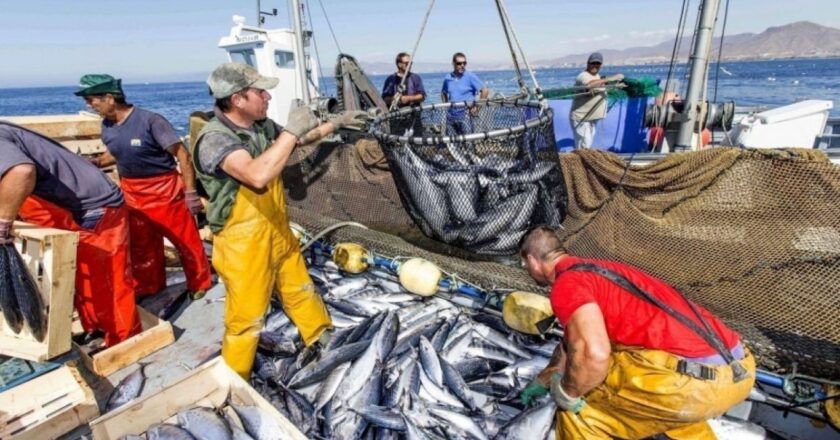 El sector pesquero alertó sobre la crisis del trabajo en tierra: «Cada vez se achica más la producción»