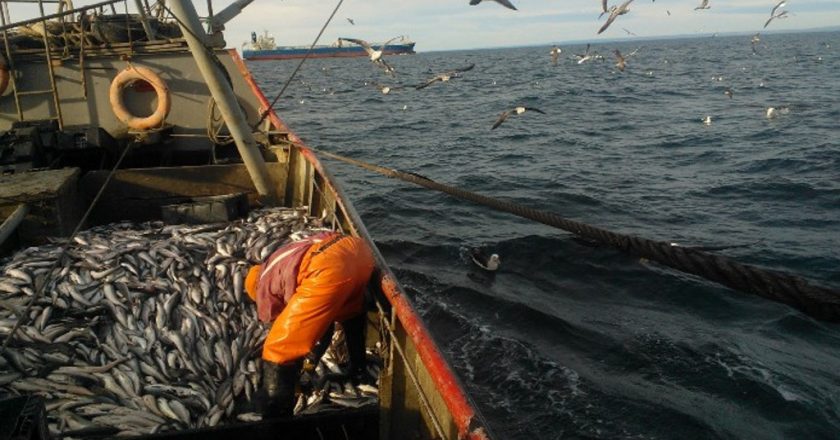 Marineros pactaron 43% en paritarias con la cámara de la pesca