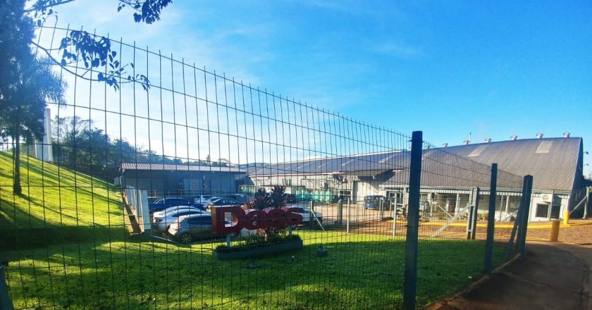 Al final, bajo amenaza de cierre, DASS despide 400 empleados en Eldorado