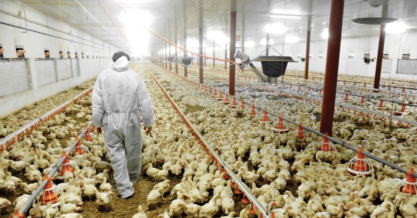 Trabajadores de la Carne sumaron 12% en revisión paritaria y abrochan 50% en el año