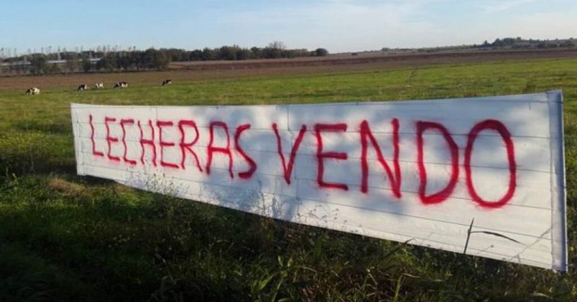 Crisis: en 2019 cerraron 1.000 tambos y se destruyeron miles de empleos