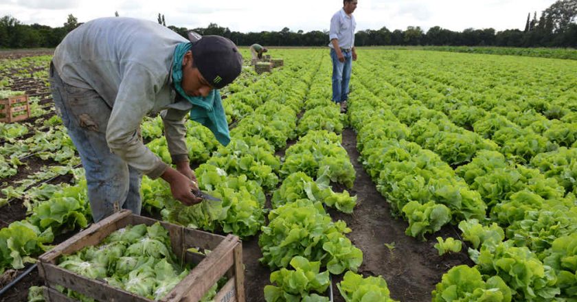 Con marchas y «feriazos», la UTEP reclama leyes agrícolas en distintas partes del país