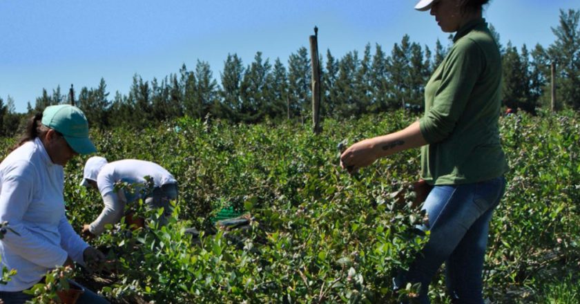 Es oficial el aumento de 4 mil pesos para los peones rurales