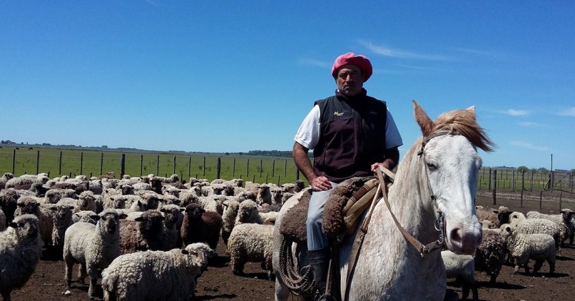 Uatre se niega a parar la producción y dice que los peones rurales pueden trabajar cumpliendo normas de higiene y seguridad